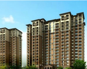 阜阳网站建设